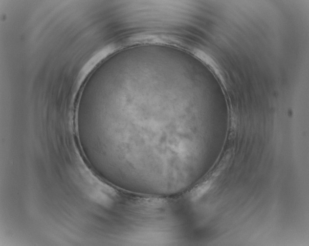 X0000088871090200706081209