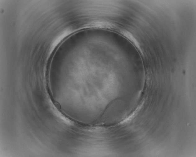 X0000088871091200706081209