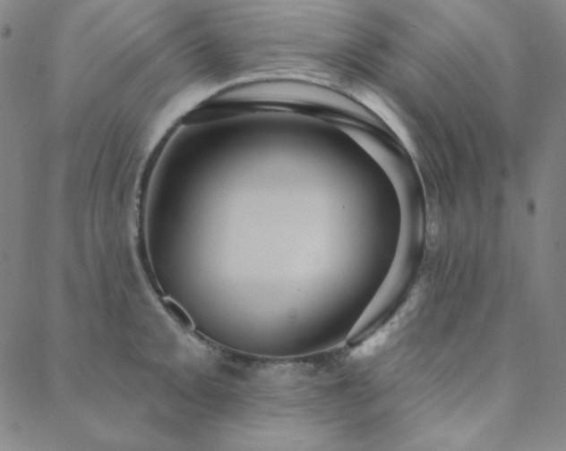 X0000088871093200706081209