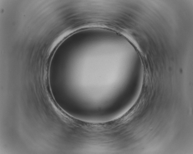 X0000088871101200706081209