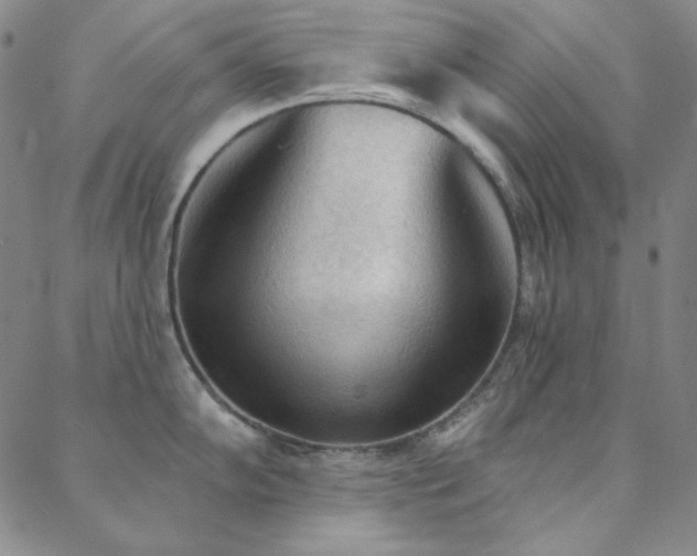 X0000088871102200706081209