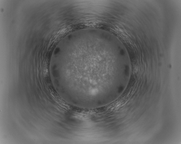 X0000088871106200706081208