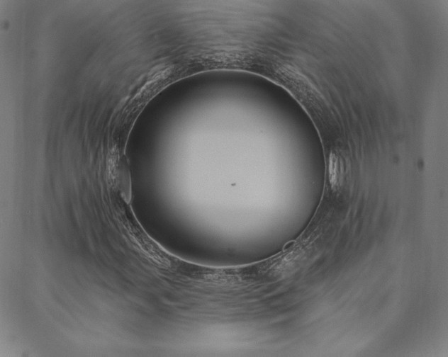X0000088871107200706081208