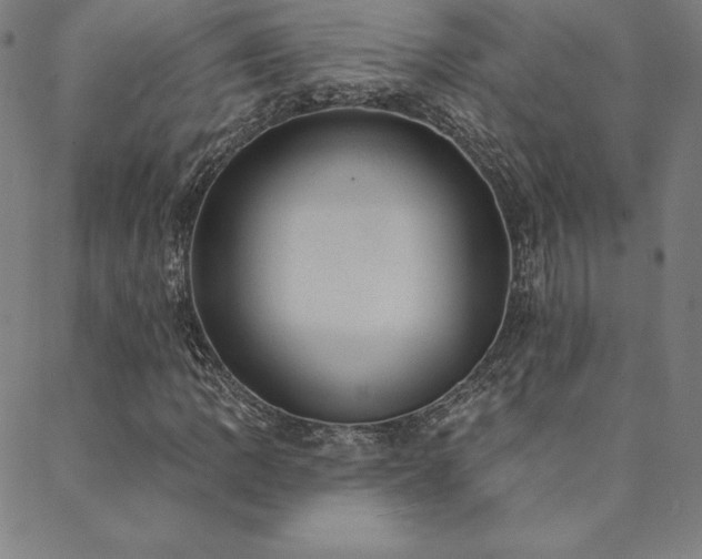 X0000088871109200706081208