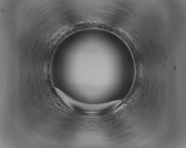 X0000088871110200706081208