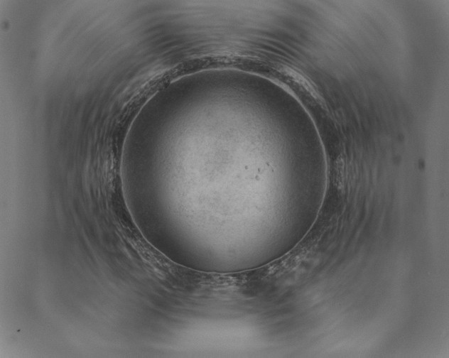X0000088871111200706081208