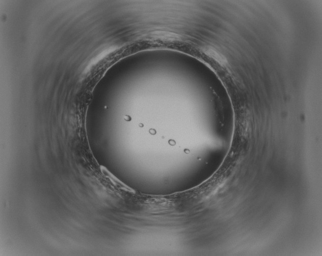 X0000088871112200706081208