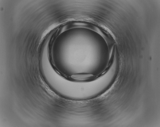 X0000088871114200706081209