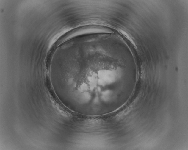 X0000088871117200706081209