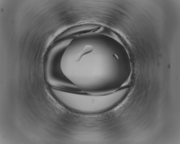 X0000088871118200706081209