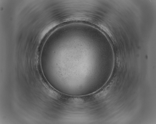 X0000088871119200706081209