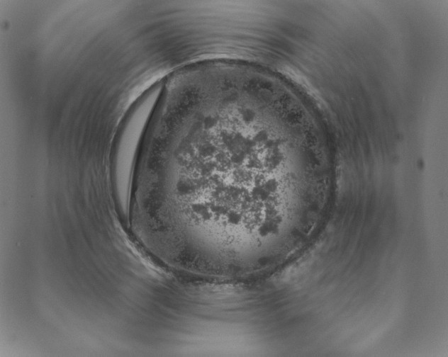 X0000088871121200706081209