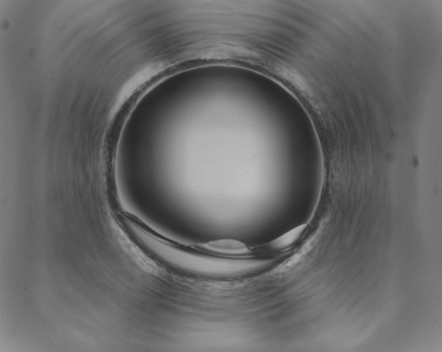 X0000088871122200706081209