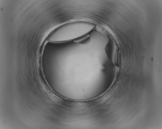 X0000088871124200706081209