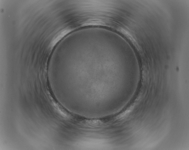 X0000088871129200706081209