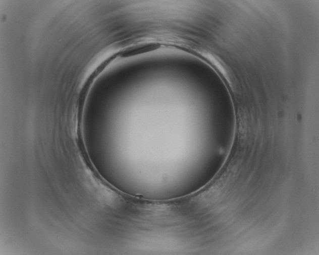 X0000088871131200706081209