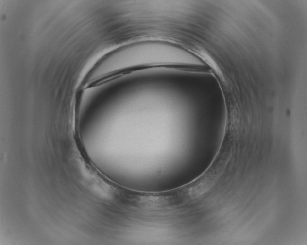 X0000088871132200706081209
