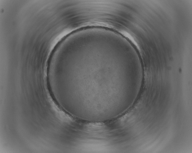 X0000088871133200706081209
