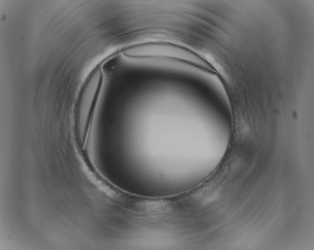 X0000088871134200706081209