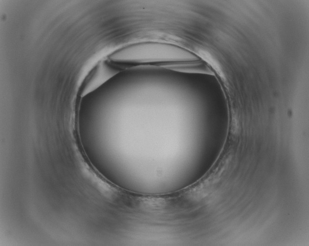 X0000088871136200706081209