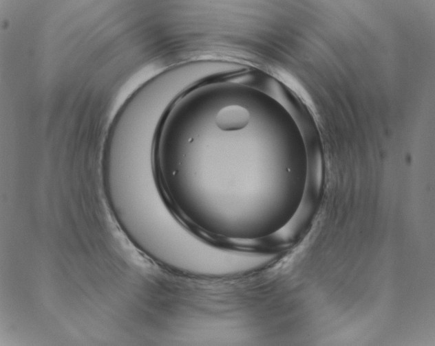 X0000088871138200706081209