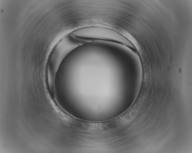 X0000088871144200706081209