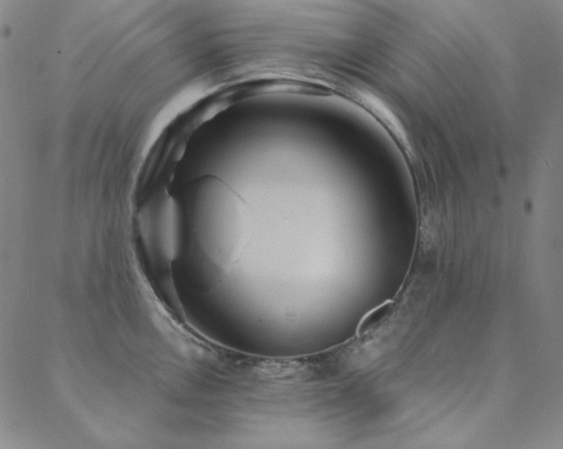 X0000088871146200706081209