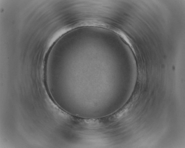 X0000088871147200706081209
