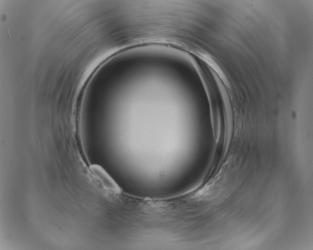 X0000088871148200706081209