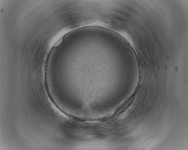 X0000088871151200706081209
