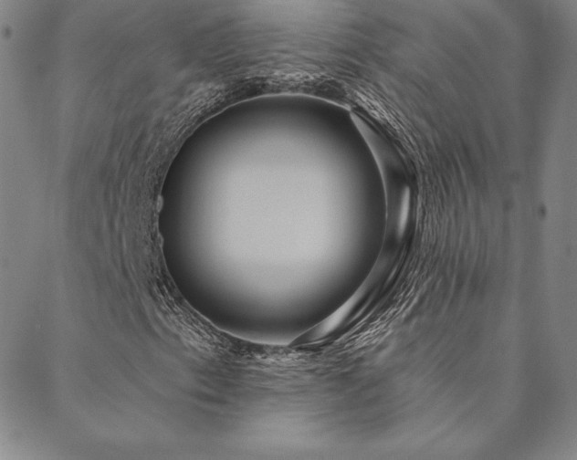 X0000088871153200706081208