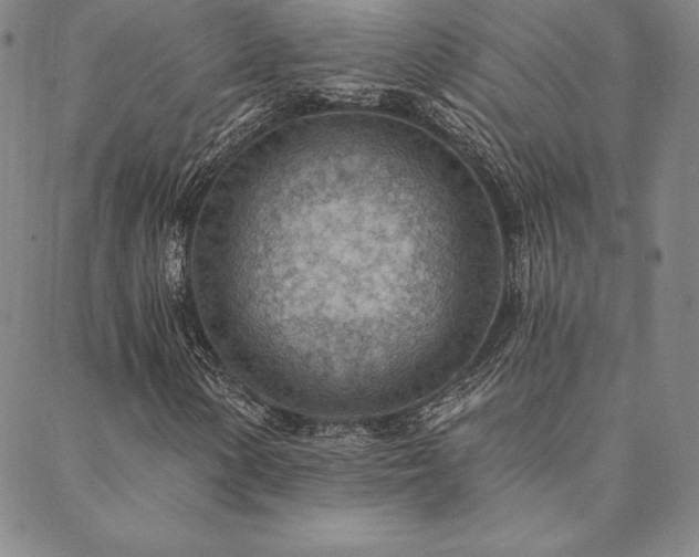 X0000088871154200706081208