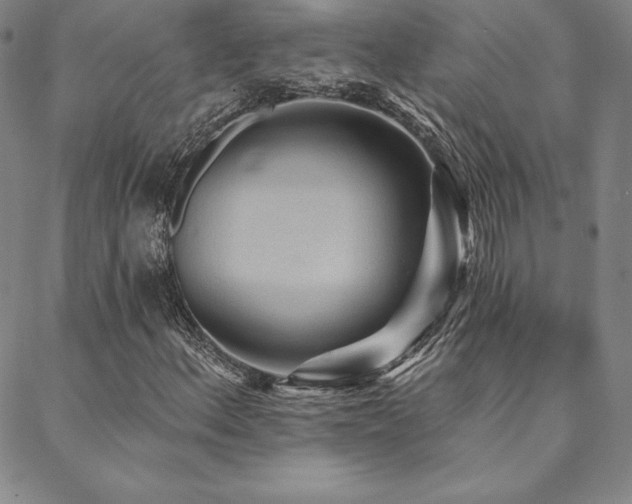 X0000088871156200706081208