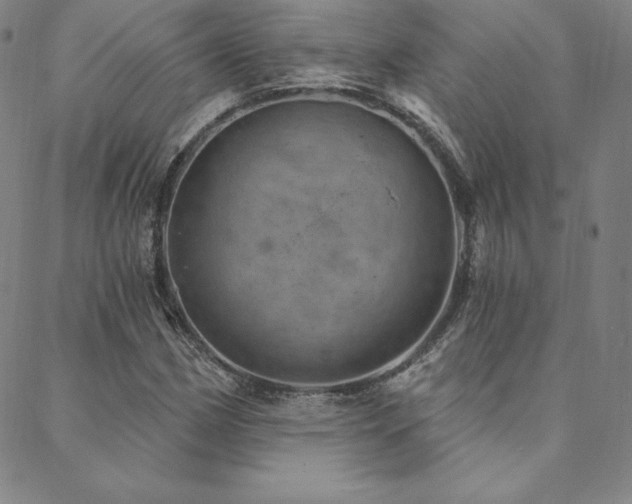 X0000088871162200706081208
