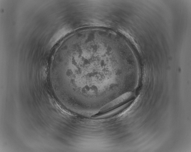 X0000088871163200706081208