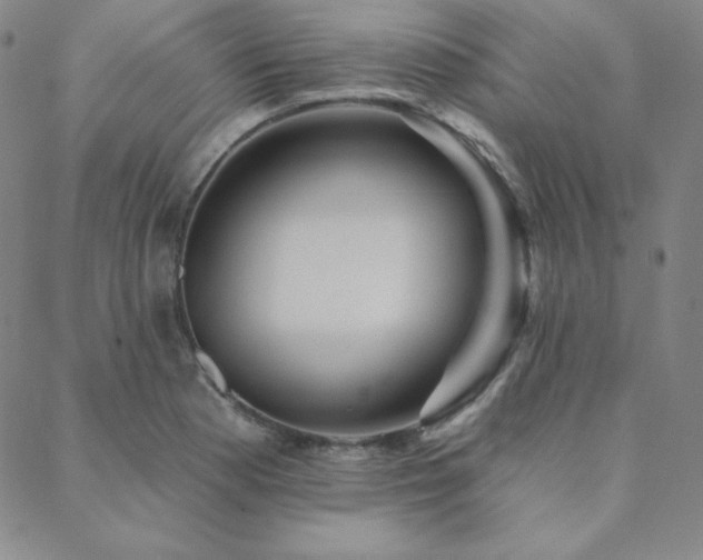 X0000088871177200706081208