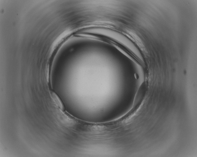 X0000088871180200706081208