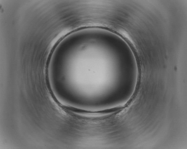 X0000088871181200706081208