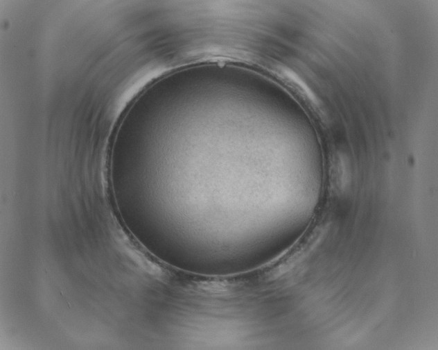 X0000088871182200706081208
