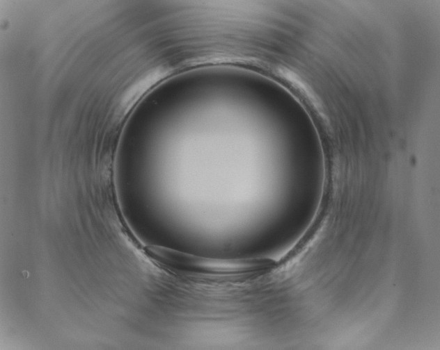 X0000088871185200706081208