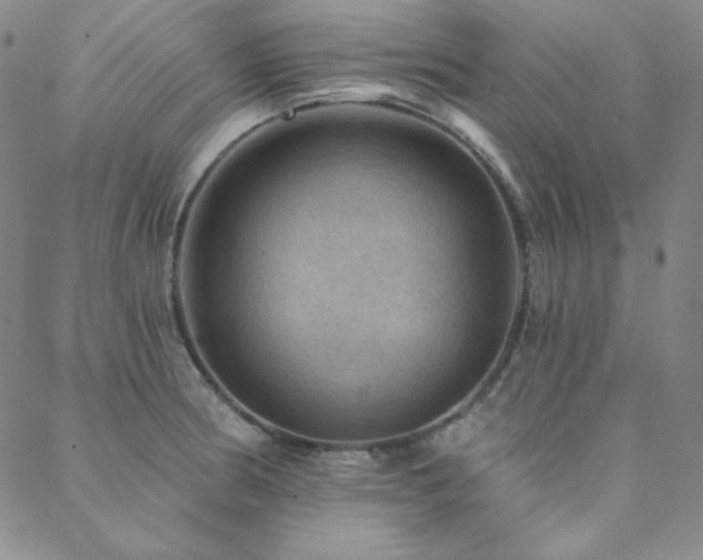 X0000088871186200706081208