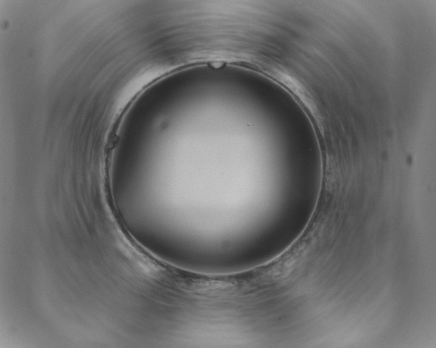 X0000088871187200706081208