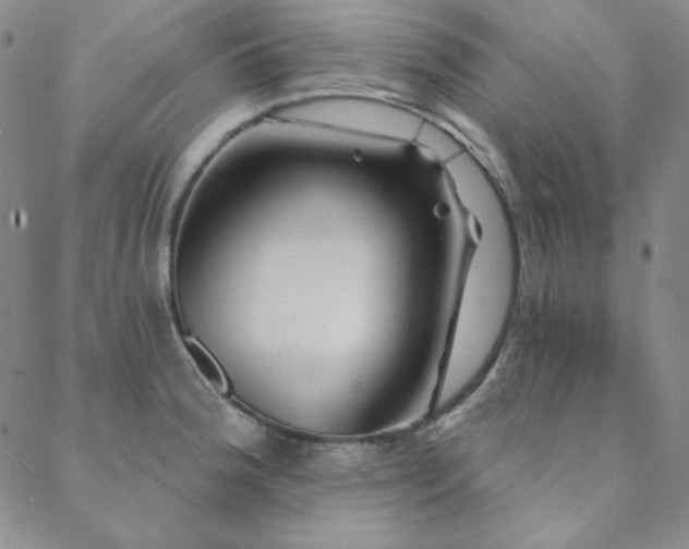 X0000088871188200706081208