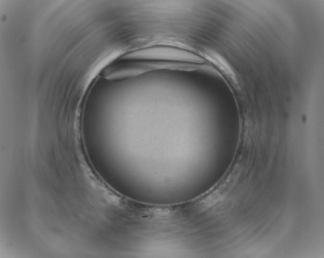 X0000088871190200706081208