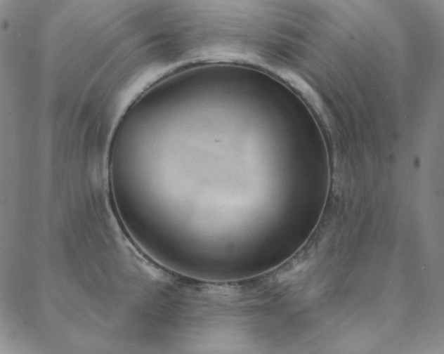 X0000088871191200706081208