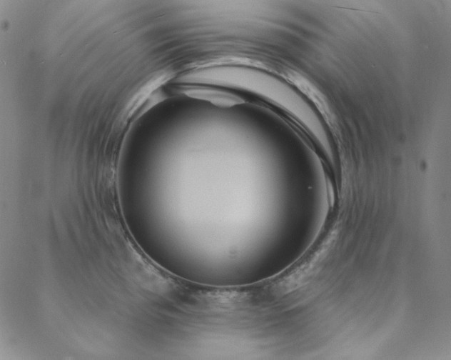 X0000088871193200706081208