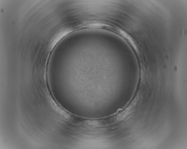X0000088871194200706081208