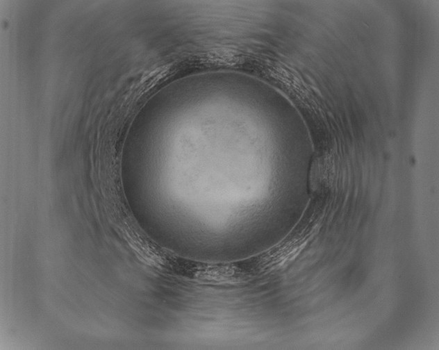 X0000088871201200706081207