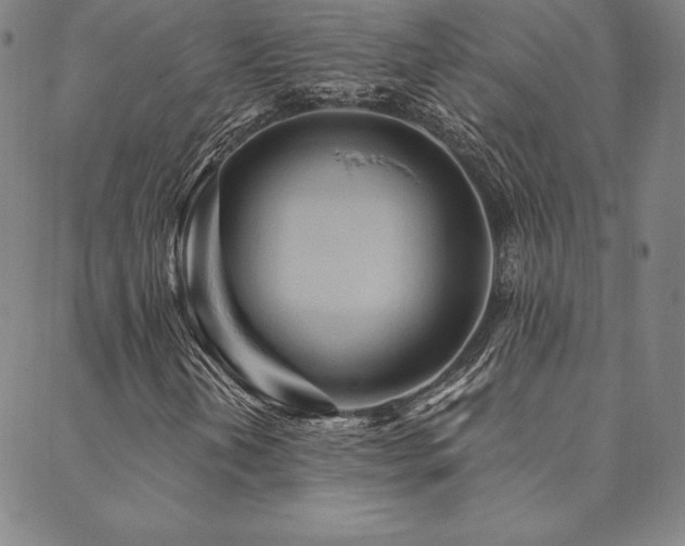 X0000088871202200706081207