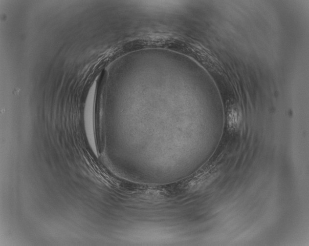 X0000088871204200706081207